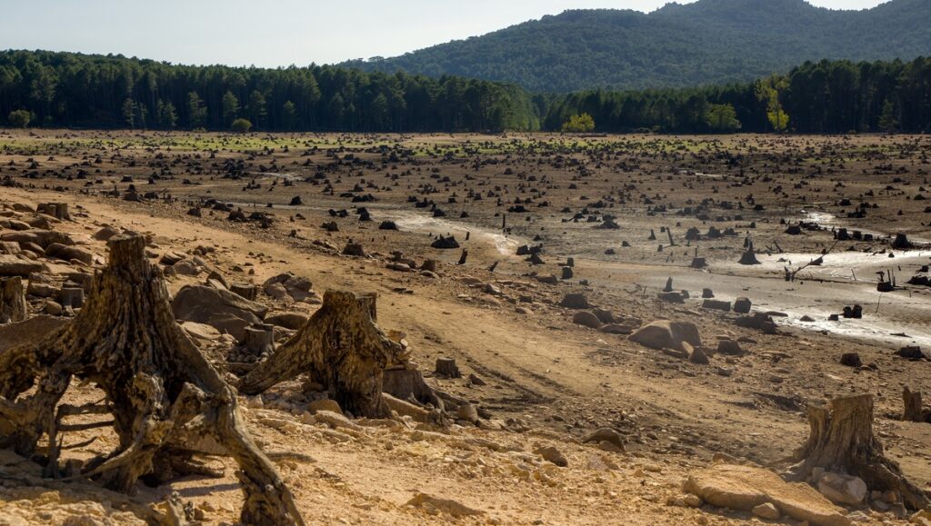 Climat en 2100 : à quoi ressemblera la France avec des températures extrêmes et des canicules multipliées ?