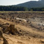 Climat en 2100 : à quoi ressemblera la France avec des températures extrêmes et des canicules multipliées ?