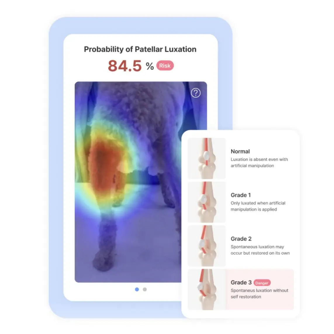 Votre smartphone Galaxy peut-il détecter les maladies de votre chien ? Samsung mise sur l’IA