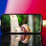 Google Pixel 10a à 459 € : l&rsquo;offre exceptionnelle à ne pas manquer aujourd&rsquo;hui
