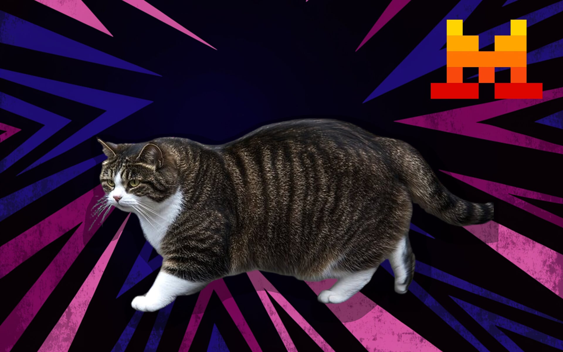 Le Chaton Fat : quand l’humour français séduit (et moque) l’intelligence artificielle