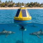 Bouées connectées anti-requins : comment l’IoT révolutionne la sécurité des plages