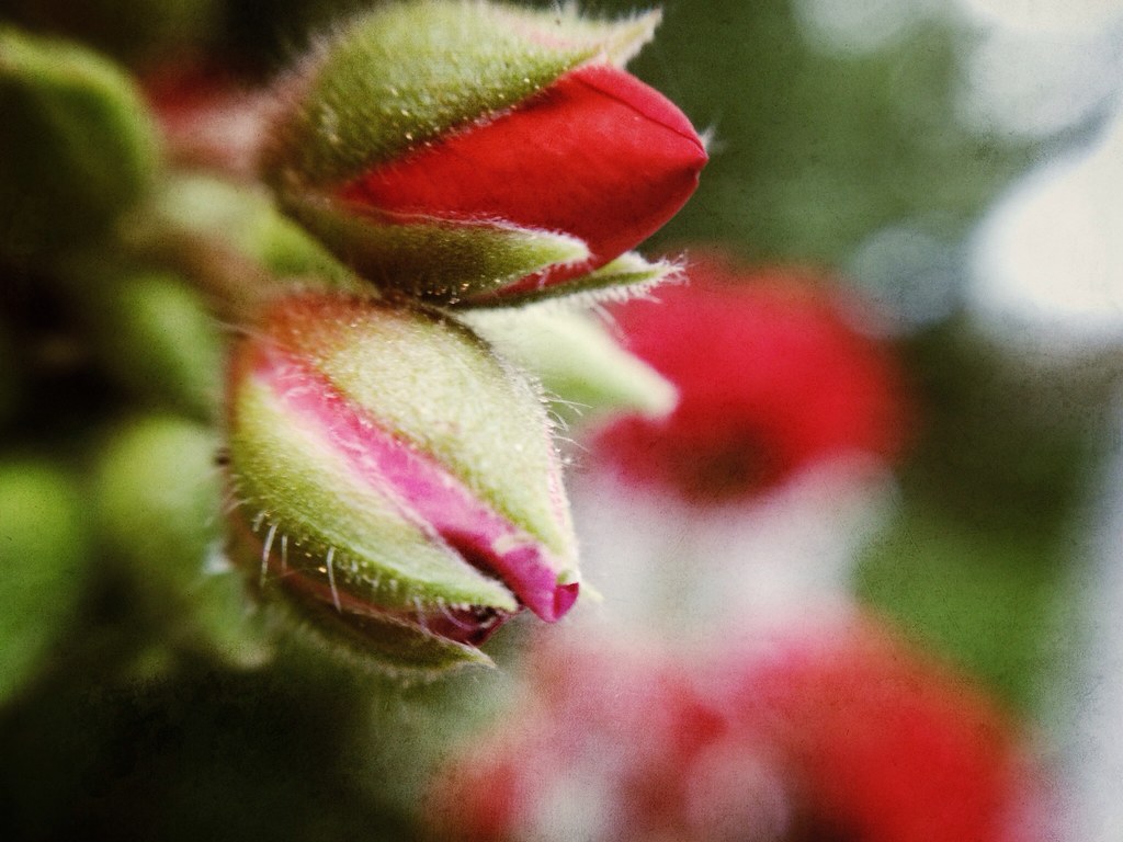 Un choix aussi écologique qu'économique